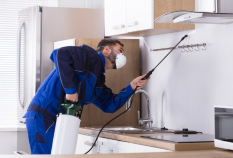 professional-pest-control-team-in-london