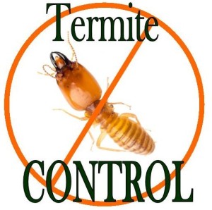 termite-control-real-300×298