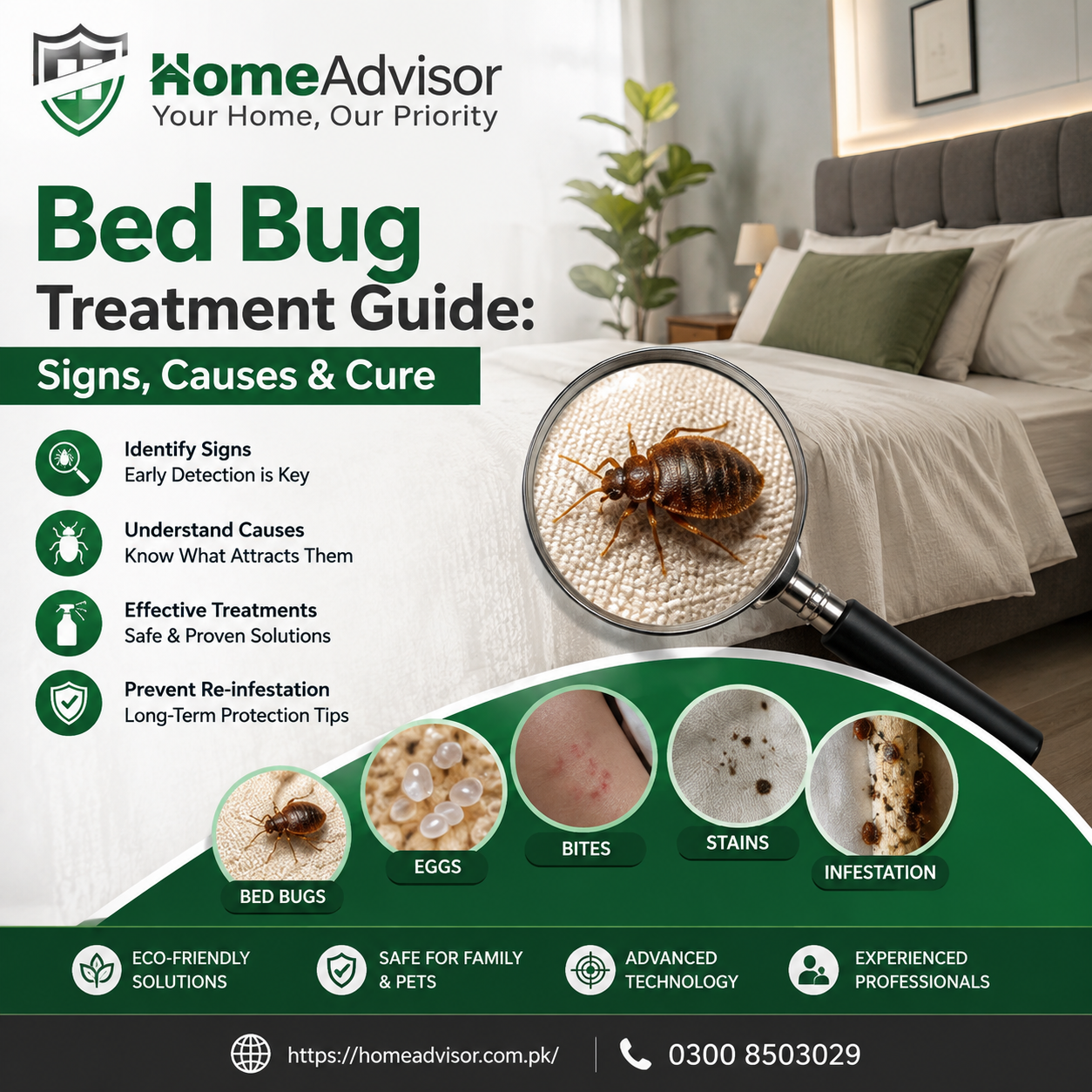 Bed Bug Treatment Guide Infographic