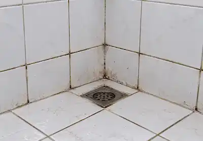 Inspect bathroom and kitchen areas