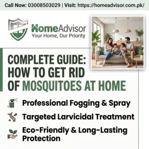 How to Get Rid of Mosquitoes at Home Complete Guide