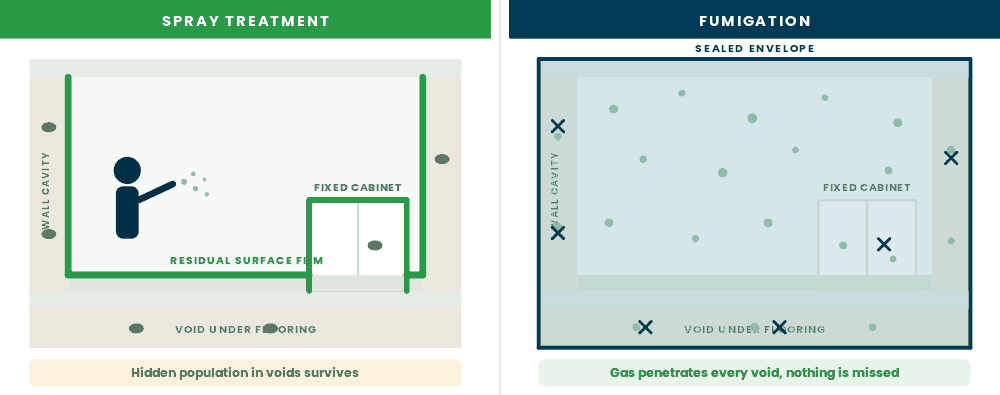 Cross-section comparing surface spray treatment with fumigation in an Islamabad room